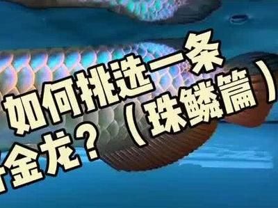 龍魚突然張大嘴怎么回事（為什么龍魚突然張大嘴？）