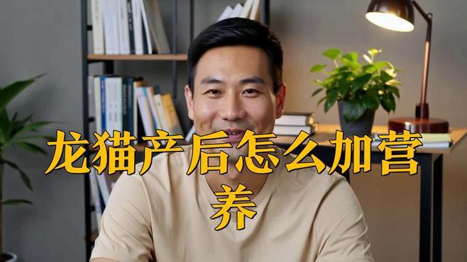 龍貓繁殖后如何護理
