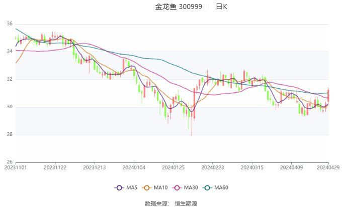金龍魚一季報