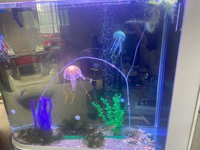 魚缸哪款好最結(jié)實耐用的，亞克力魚缸維護技巧陶瓷魚缸保溫效果如何超白玻璃魚缸自動化功能介紹