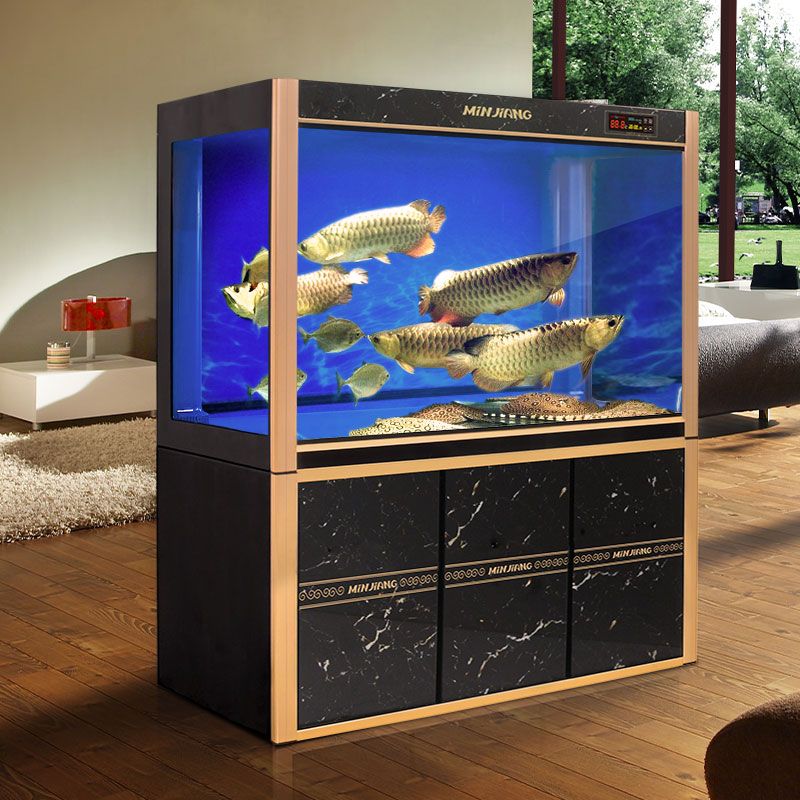 為什么有的魚缸稱龍魚缸（為什么龍魚缸被稱為“龍魚缸”？）