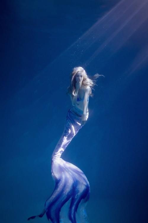 美人魚女王圖片