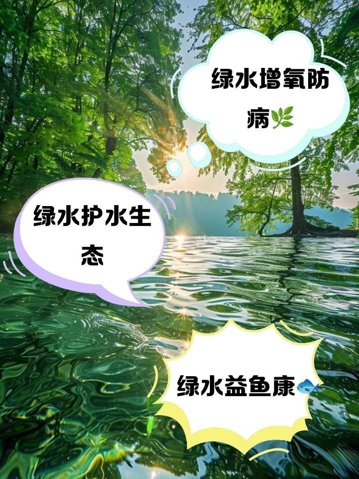綠水養(yǎng)龍魚有什么好處