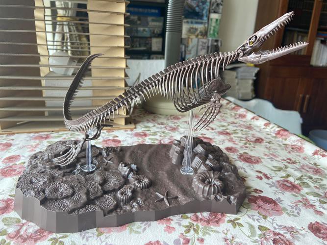 滄龍魚長什么樣子圖片視頻大全