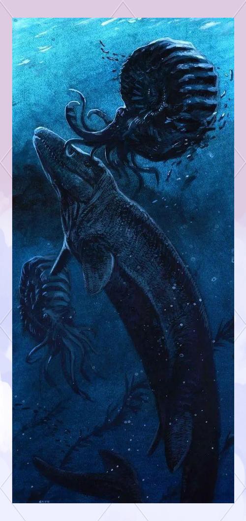 滄龍魚長什么樣子圖片視頻大全