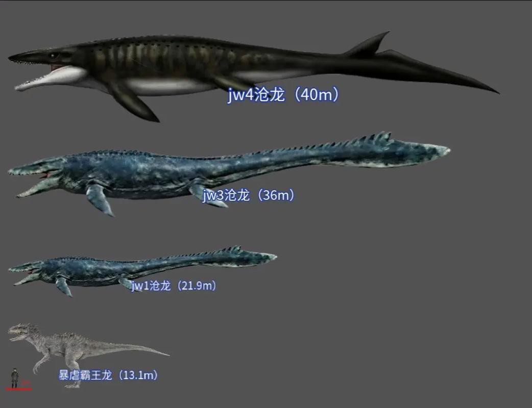 滄龍魚長什么樣子圖片視頻大全