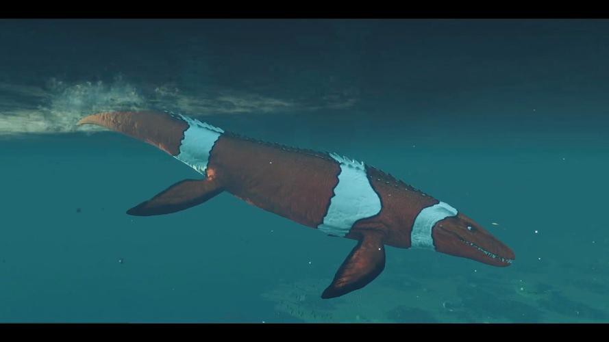 滄龍魚長什么樣子圖片視頻大全