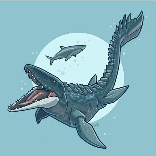 滄龍魚長什么樣子圖片視頻大全