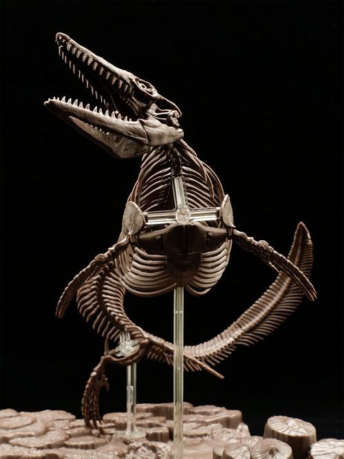 滄龍魚長什么樣子圖片視頻大全