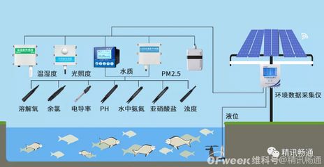 控制光照對水質(zhì)的具體操作方法：控制光照是改善和維持水質(zhì)的關鍵方法