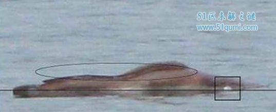 湖光巖 龍魚(yú)神龜：廣東湛江湖光巖的龍魚(yú)神龜傳說(shuō)，被當(dāng)?shù)厝朔Q(chēng)為“神龜”