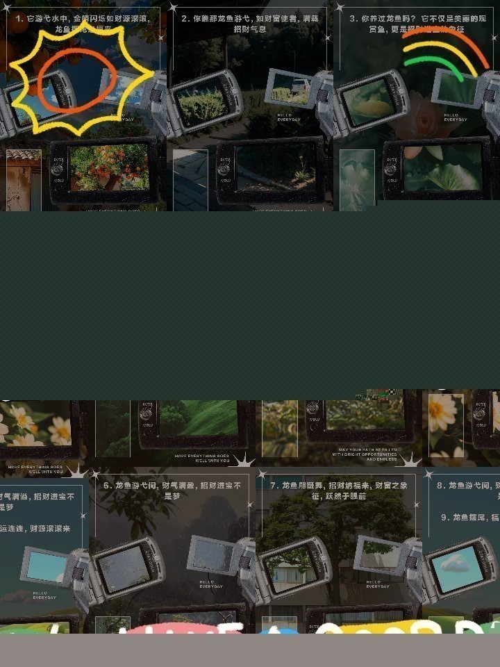 福龍魚的主要炒作手段有哪些？