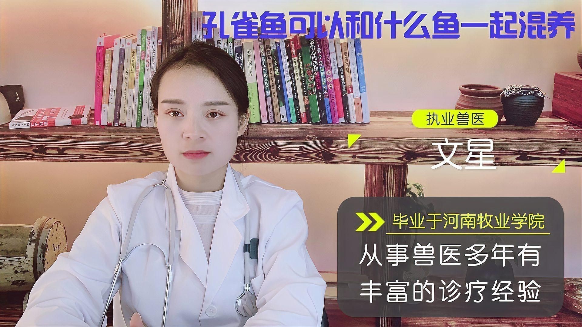 孔雀魚適合跟什么魚混養