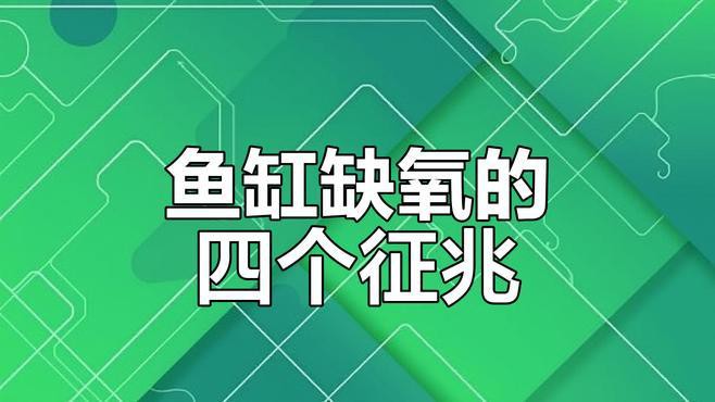 如何判斷龍魚是否長(zhǎng)期缺氧？