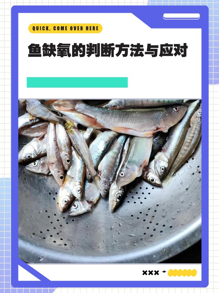 如何判斷龍魚是否長(zhǎng)期缺氧？