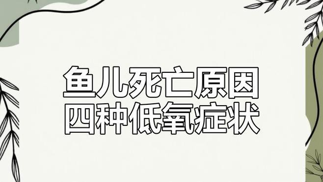 如何判斷龍魚是否長(zhǎng)期缺氧？
