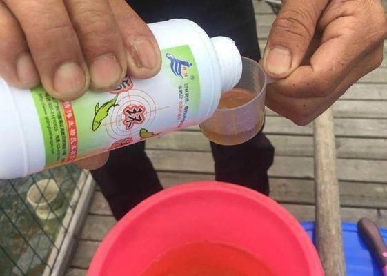 龍魚藥浴，關(guān)于龍魚藥浴的注意事項和步驟