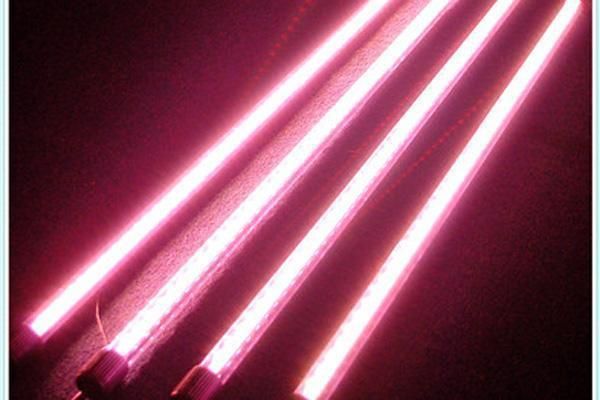 色溫對龍魚發色的影響大嗎：紅龍魚發色技巧和注意事項色溫對龍魚發色影響的具體信息