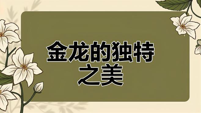 古典藍底金龍魚發色需要哪些環境條件？