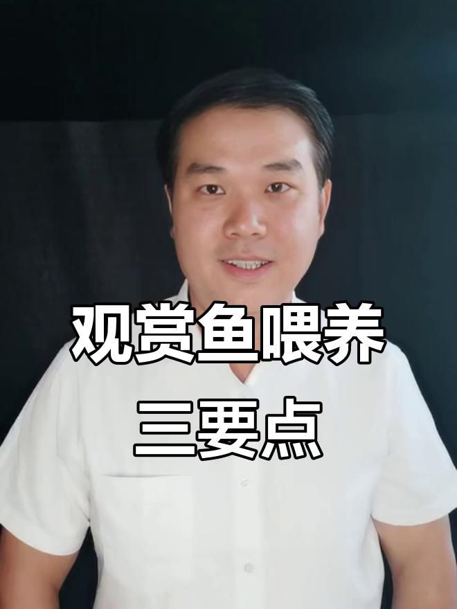 1-2公分紅龍魚多久喂一次？