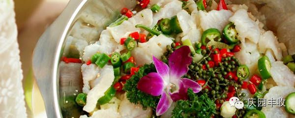 養(yǎng)龍魚有什么用途？：養(yǎng)龍魚有什么用途和好處，