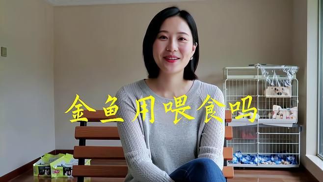 金魚自愈期間需要喂食嗎？