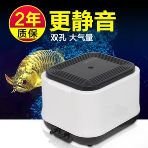 龍魚麻藥后多久能好起來吃東西：龍魚在使用麻藥后恢復(fù)進食的時間受到多種因素影響 龍魚麻藥后多久能好起來吃東西：龍魚在使用麻藥后恢復(fù)進食的時間受到多種因素影響 龍魚百科 第3張