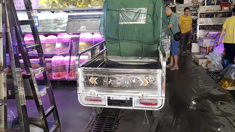 20厘米銀龍魚價格多少一條