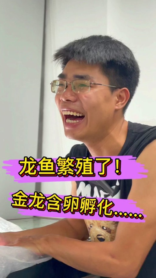 麗江龍魚的卵長什么樣子圖片大全集
