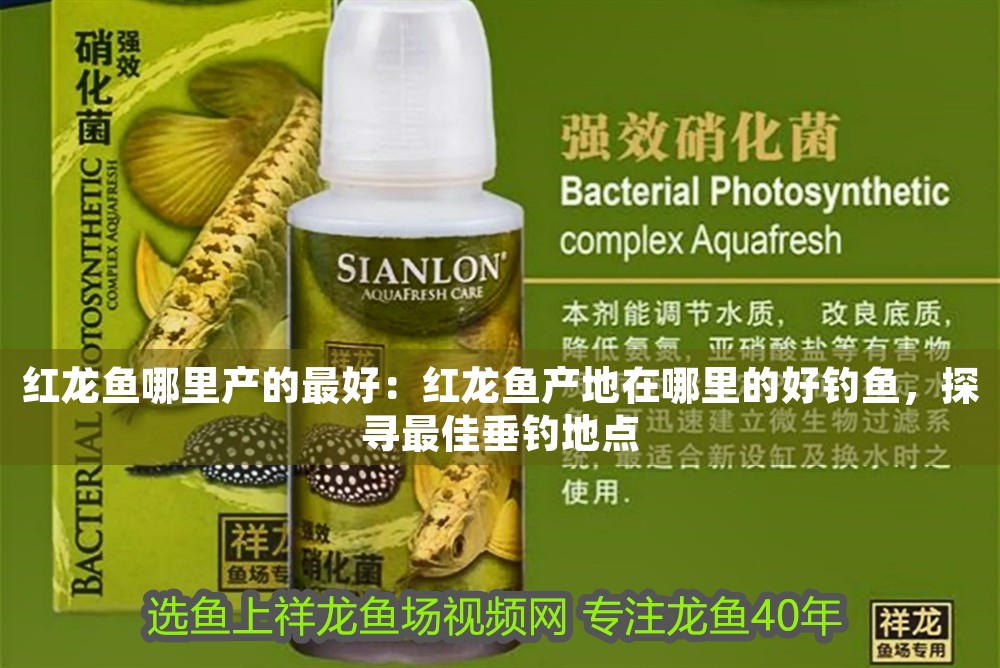 紅龍魚哪里產的最好：紅龍魚產地在哪里的好釣魚，探尋最佳垂釣地點