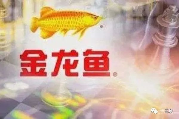 2024年金龍魚目標價格是多少錢一條：2024年金龍魚目標價格是多少錢一條金龍魚的價格是多少錢一條 2024年金龍魚目標價格是多少錢一條：2024年金龍魚目標價格是多少錢一條金龍魚的價格是多少錢一條 龍魚百科 第2張