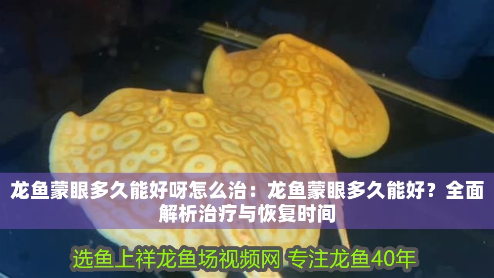 龍魚蒙眼多久能好呀怎么治：龍魚蒙眼多久能好？全面解析治療與恢復(fù)時(shí)間 龍魚蒙眼多久能好呀怎么治：龍魚蒙眼多久能好？全面解析治療與恢復(fù)時(shí)間 龍魚百科 第1張