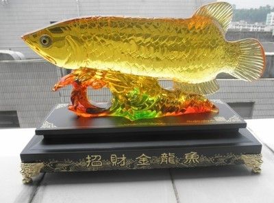 成年金龍魚(yú)價(jià)格多少合適：成年金龍魚(yú)價(jià)格多少合適成年金龍魚(yú)價(jià)格多少合適