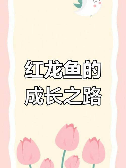 白玉紅龍魚小時候長什么樣子圖片