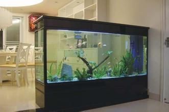 市場上魚缸多少錢一個（魚缸價格一般多少）