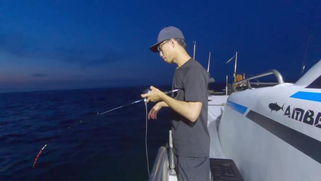 白龍魚(yú)大概多少錢(qián)一條