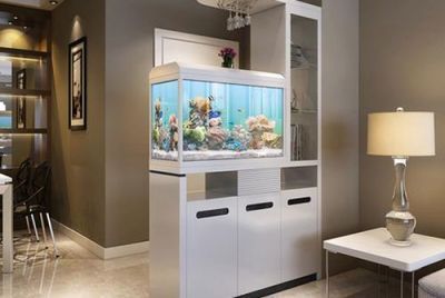 魚缸圖片效果圖視頻教程（魚缸造景材料選購指南魚缸生態平衡維護方法魚缸造景常見誤區解析）