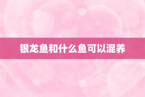 銀龍魚多久呼吸一次（銀龍魚張嘴呼吸是常見的現象，）