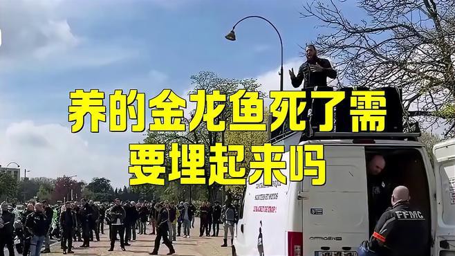 如何科學(xué)處理龍魚的遺體？