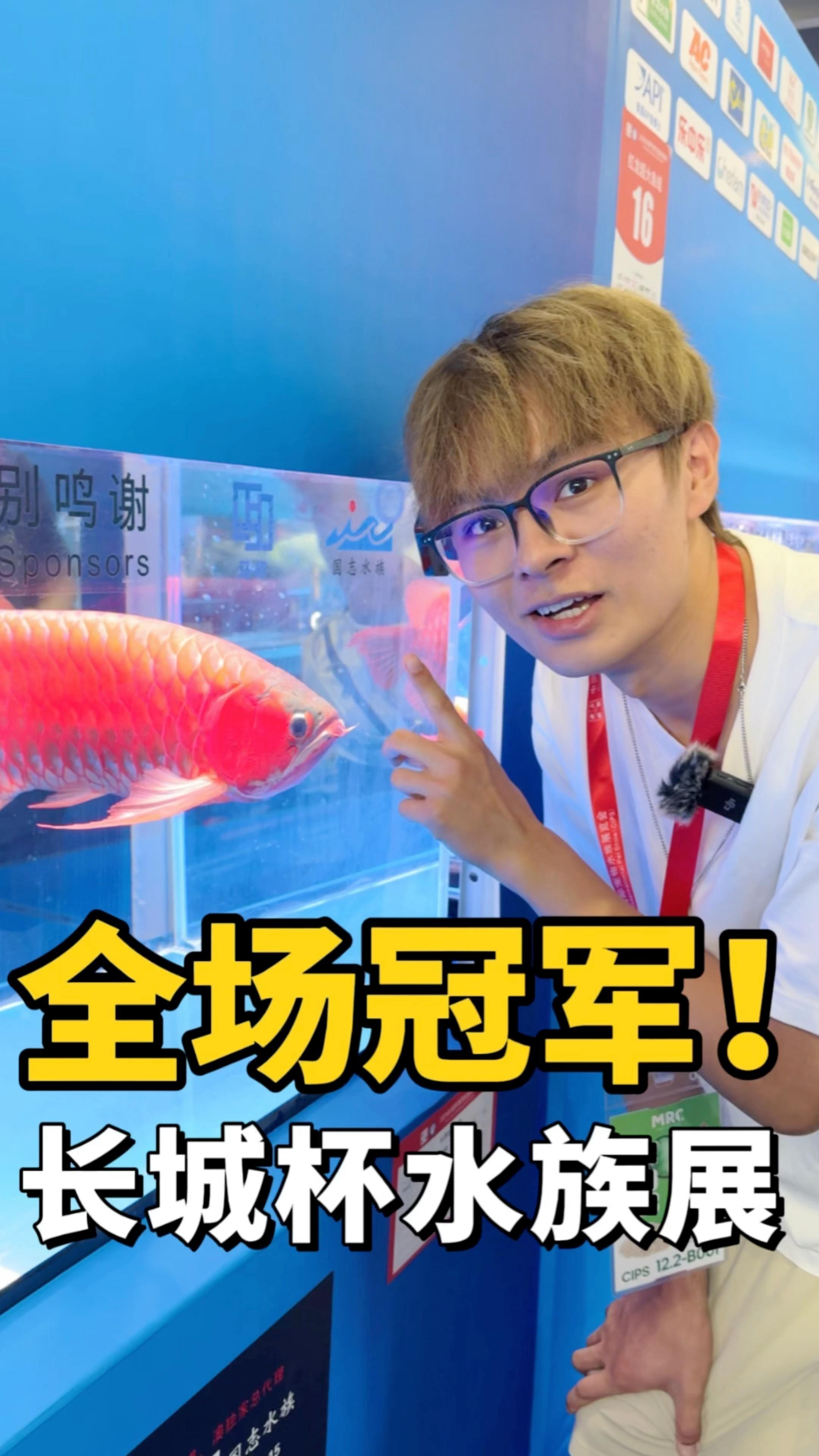 有沒有更多龍魚賽事視頻推薦？