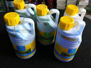 養(yǎng)招財魚建議魚缸尺寸 招財魚養(yǎng)幾個好