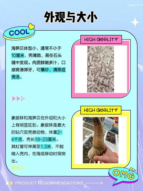 海象愛吃什么食物圖片，海象的食物種類及主要分布區(qū)域滿滿農(nóng)鄉(xiāng)情