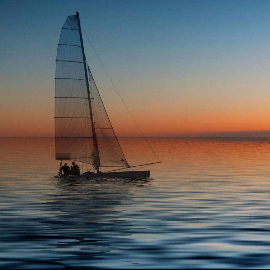 海象愛吃什么食物圖片，海象的食物種類及主要分布區(qū)域滿滿農(nóng)鄉(xiāng)情