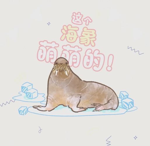 海象愛吃什么食物圖片，海象的食物種類及主要分布區(qū)域滿滿農(nóng)鄉(xiāng)情