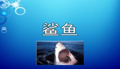 仟湖龍魚(yú)飼料為什么那么貴（仟湖的紅龍飼料怎么樣）