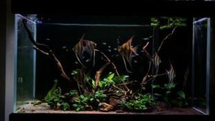 錦州魚缸定制電話 遼寧錦州有做魚缸的嗎 錦州魚缸定制電話 遼寧錦州有做魚缸的嗎 赤元素 第2張