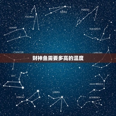 威海觀賞魚交流群微信號是多少（威海賣觀賞魚）