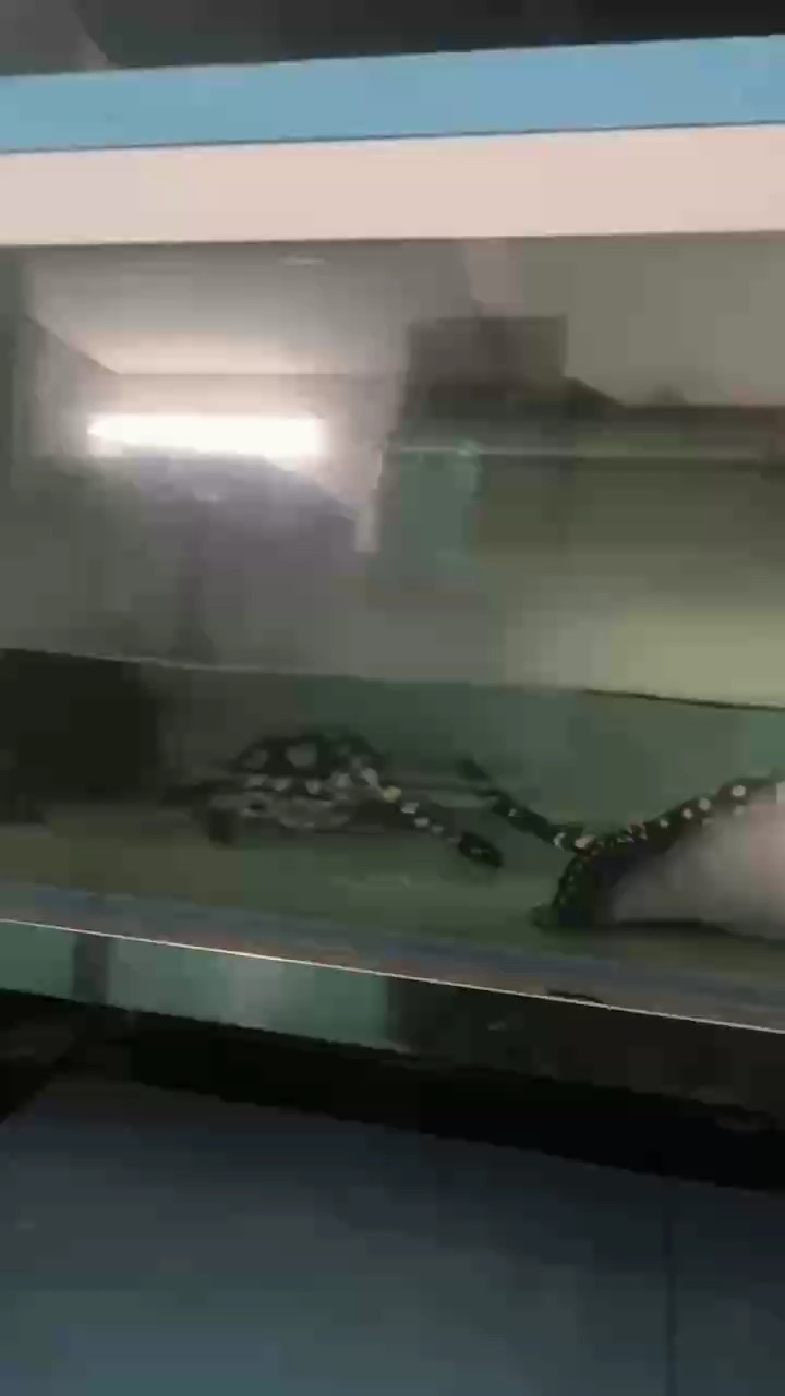 星期日，專屬的悠閑時(shí)光與多元生活