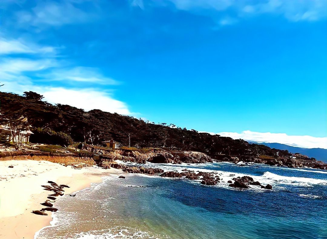 世界著名漁場的分布圖，世界四大漁場分布圖譜：北海道漁場、北海道漁場、秘魯漁場 世界著名漁場的分布圖，世界四大漁場分布圖譜：北海道漁場、北海道漁場、秘魯漁場 龍魚論壇 第4張