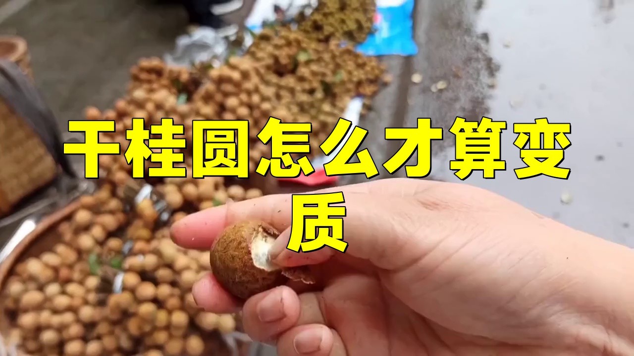 如何判斷龍眼是否變質(zhì)？